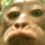 Mimicros member profile picture