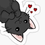 user_ct4li34zgdeopx3t member profile picture