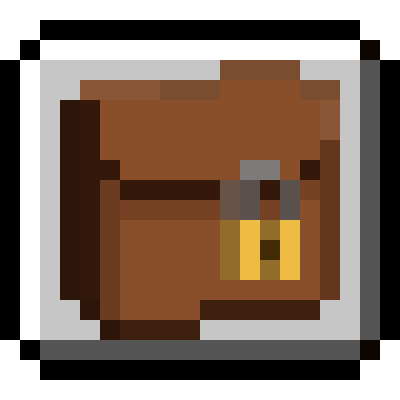 Secure Pouch