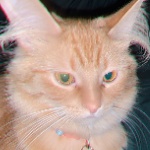 View Benumbed's Profile