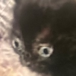 LenguaMaster157 member profile picture