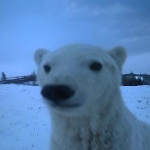 JoniCraftHD21 member profile picture