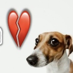 Ragdolls - Minecraft Mods - CurseForge