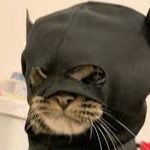 Lunarityys member profile picture