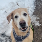 View IrelandBest's Profile