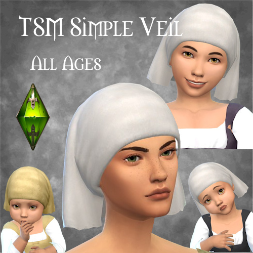 TSM Simple Veil logo
