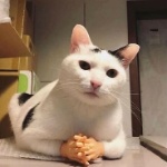 Arleshax member profile picture