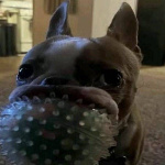 JustNotSnowy member profile picture