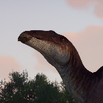 Oliverous member profile picture