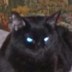 QueenDemona member profile picture