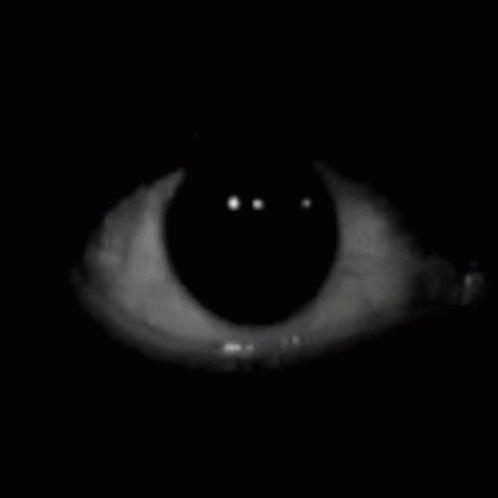  The One Eyed