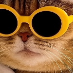 henkietia member profile picture