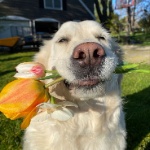 Emillyyyyy member profile picture