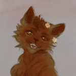 faawns member profile picture