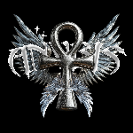 ANVBIS member profile picture