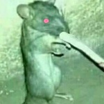 advancedrat2974 member profile picture