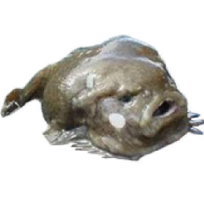 Fongor SMP logo