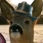 Bewdy member profile picture