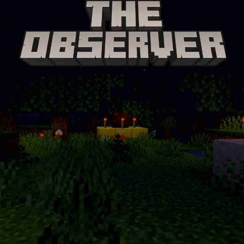 The Observer