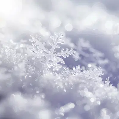 NicoYoda Winter Server 2025