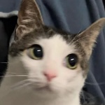 Kylerman member profile picture