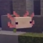 CurseForge profile picture for @Zoey