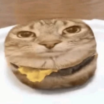 goofYpuppeT member profile picture