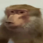 rec1ty member profile picture