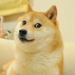 iShowMatheusGG member profile picture