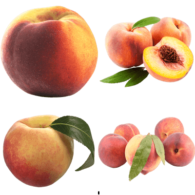 VaultMapple
