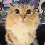 klewhoz member profile picture