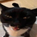 View PotatosandPie's Profile