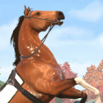 anna103 member profile picture