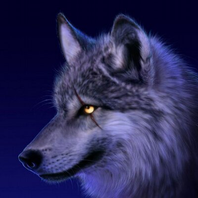 WolfeeCraft