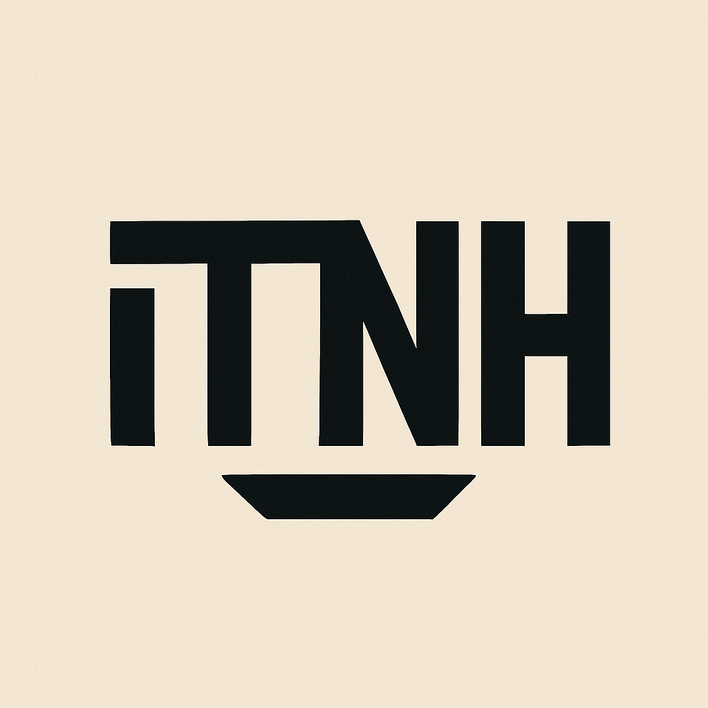 The Nik-Paradox  logo