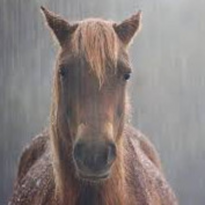 Evil and Intimidating Horse Totem