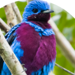 CoTingA member profile picture
