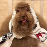 erlcka member profile picture