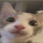 Just_Q member profile picture