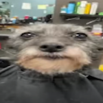 VEMplexPur member profile picture