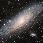 _Andromeda member profile picture