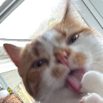 Hayzeeewayzeee member profile picture