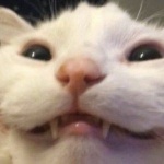 _pallid member profile picture