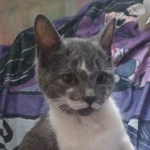 Aedynsaidlikeaiden member profile picture