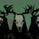 shrine member profile picture