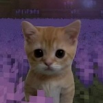 Arabella666 member profile picture