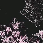 l1viloo member profile picture