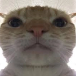 Litbolb member profile picture