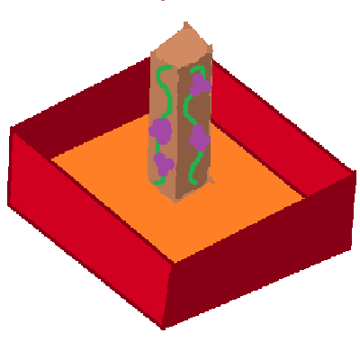 VineryBotany