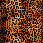 cantpayattention member profile picture